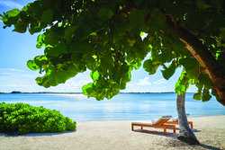 Abaco BS