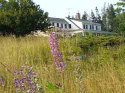 North Haven ME 04850
