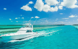 New Providence Paradise Island BS