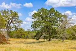 2774 County Road 320 Floresville TX 78114