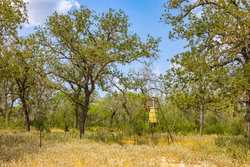 2774 County Road 320 Floresville TX 78114