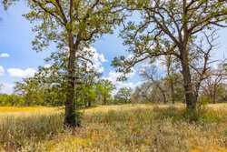 2774 County Road 320 Floresville TX 78114