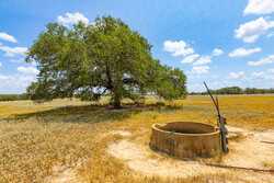 2774 County Road 320 Floresville TX 78114