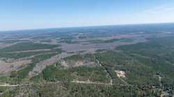 County Road 716 Buna TX 77612