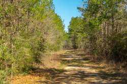 County Road 716 Buna TX 77612