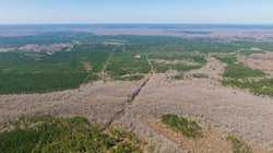County Road 716 Buna TX 77612