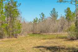 County Road 716 Buna TX 77612