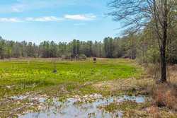 County Road 716 Buna TX 77612