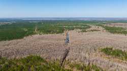 County Road 716 Buna TX 77612