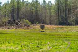 County Road 716 Buna TX 77612