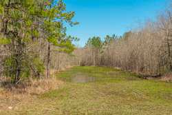 County Road 716 Buna TX 77612