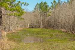 County Road 716 Buna TX 77612