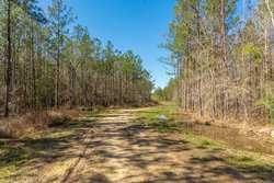County Road 716 Buna TX 77612