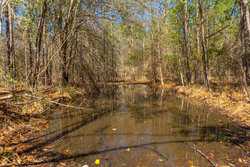 County Road 716 Buna TX 77612