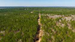 County Road 716 Buna TX 77612