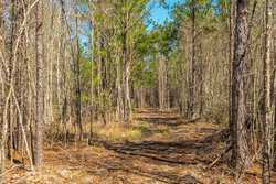 County Road 716 Buna TX 77612