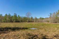 County Road 716 Buna TX 77612