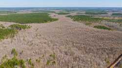 County Road 716 Buna TX 77612