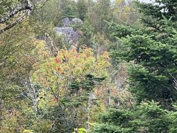 M4l19-1 Off Dixie Road Lubec ME 04652