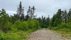 M4l19-1 Off Dixie Road Lubec ME 04652