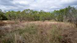 Moore TX 78057