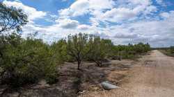 Moore TX 78057