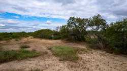 Moore TX 78057