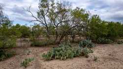 Moore TX 78057