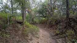 Moore TX 78057