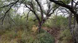 Moore TX 78057