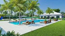 New Providence BS