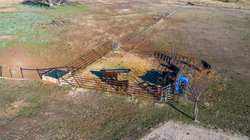 Bandera TX