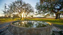 Bandera TX