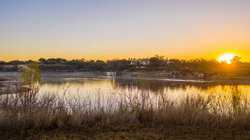 Bandera TX