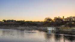 Bandera TX
