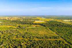 9549 Cr 277 Gillett TX 78116