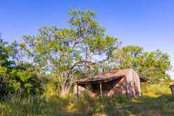 9549 Cr 277 Gillett TX 78116