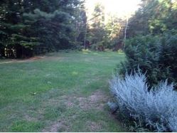 Alton NH 03809