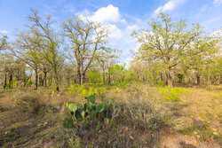 6888 Old Seguin Luling Road Seguin TX 78155