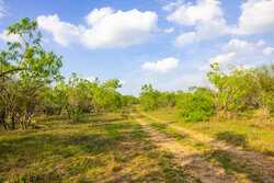 6888 Old Seguin Luling Road Seguin TX 78155