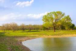 6888 Old Seguin Luling Road Seguin TX 78155