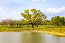 6888 Old Seguin Luling Road Seguin TX 78155