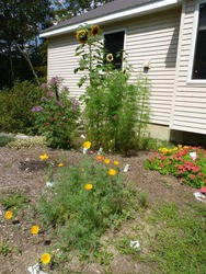 1438 Lovers Lane Road Chester VT 05143