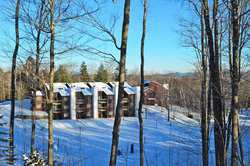 Ludlow VT 05149