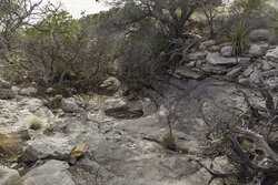 985 County Road 414 Sheffield TX 79781