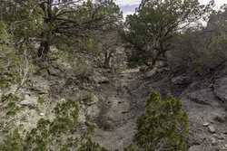 985 County Road 414 Sheffield TX 79781