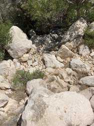 985 County Road 414 Sheffield TX 79781