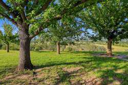 2650 Bandera Hwy Kerrville Kerrville TX 78028