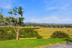 2650 Bandera Hwy Kerrville Kerrville TX 78028