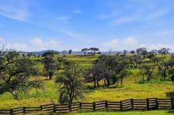 2650 Bandera Hwy Kerrville Kerrville TX 78028